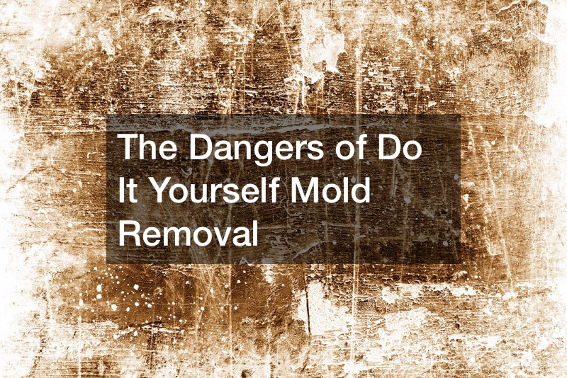 The Dangers of Do-It-Yourself Mold Removal
