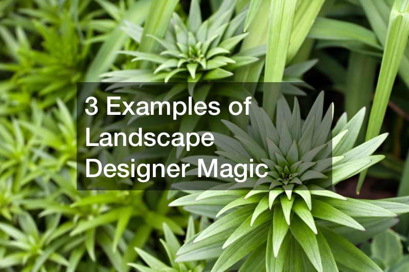 3 Examples of Landscape Designer Magic