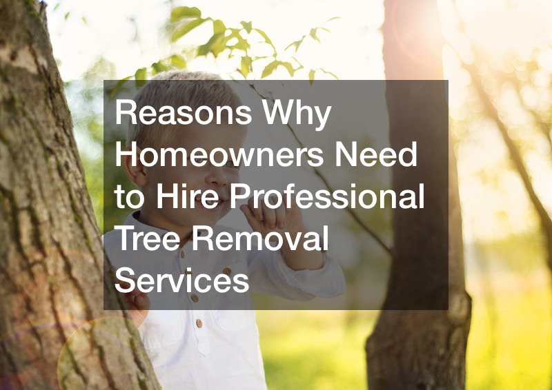 Reasons Why Homeowners Need to Hire Professional Tree Removal Services