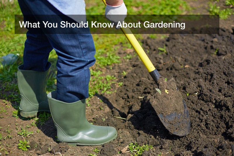 What You Should Know About Gardening