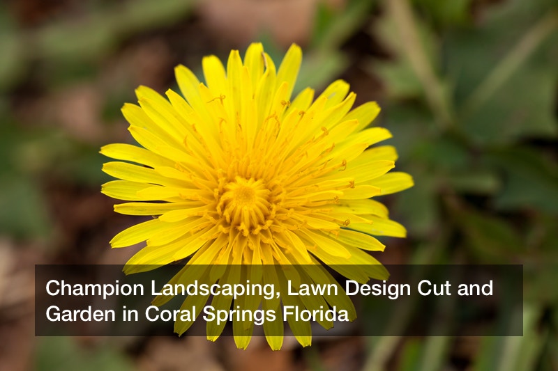 Champion Landscaping, Lawn Design Cut and Garden in Coral Springs Florida