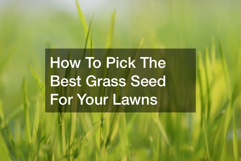 How To Pick The Best Grass Seed For Your Lawns