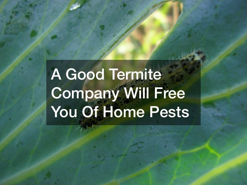 A Good Termite Company Will Free You Of Home Pests