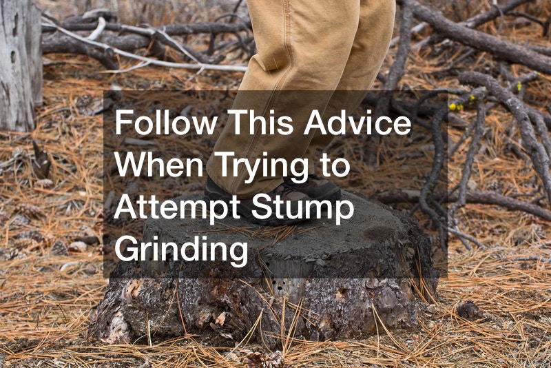Follow This Advice When Trying to Attempt Stump Grinding