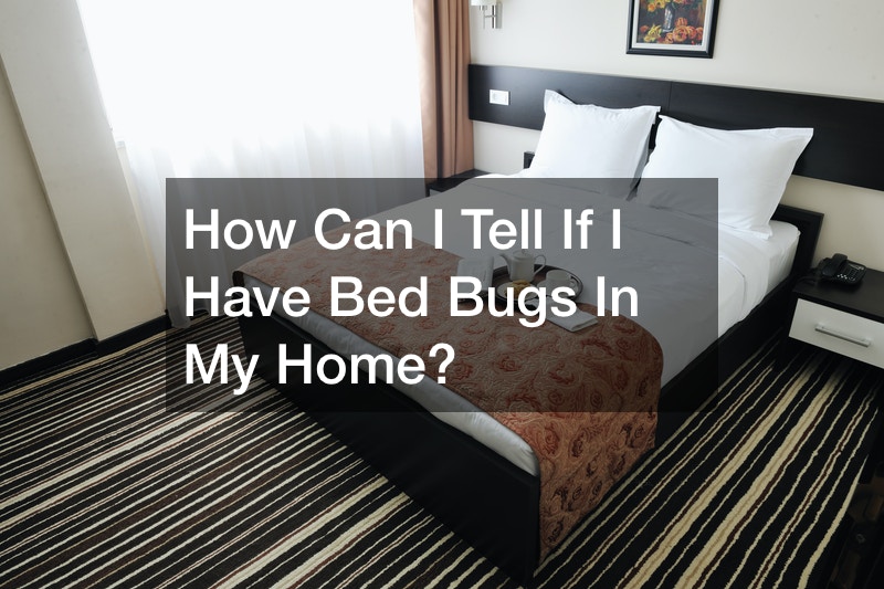 How Can I Tell If I Have Bed Bugs In My Home?