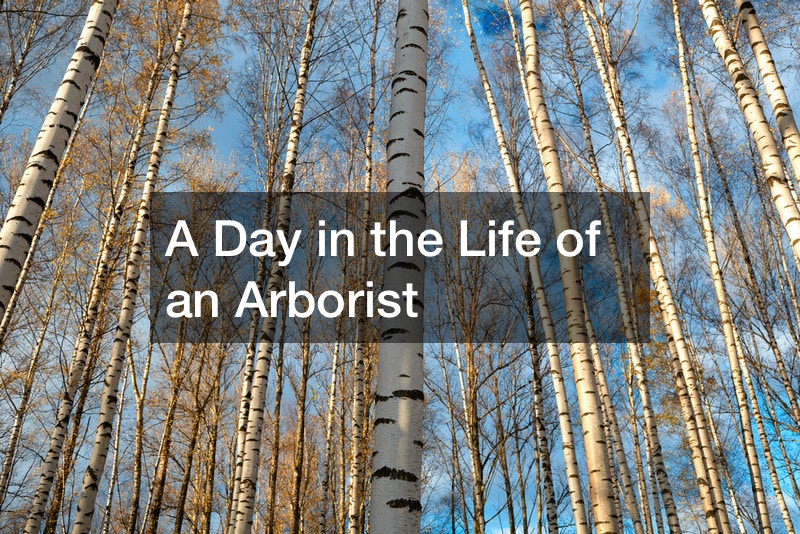 A Day in the Life of an Arborist
