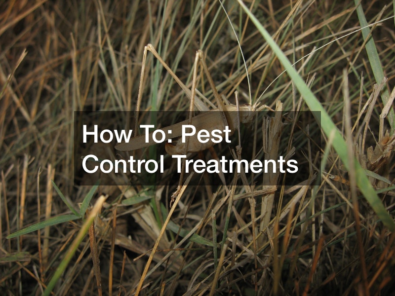 How To  Pest Control Treatments