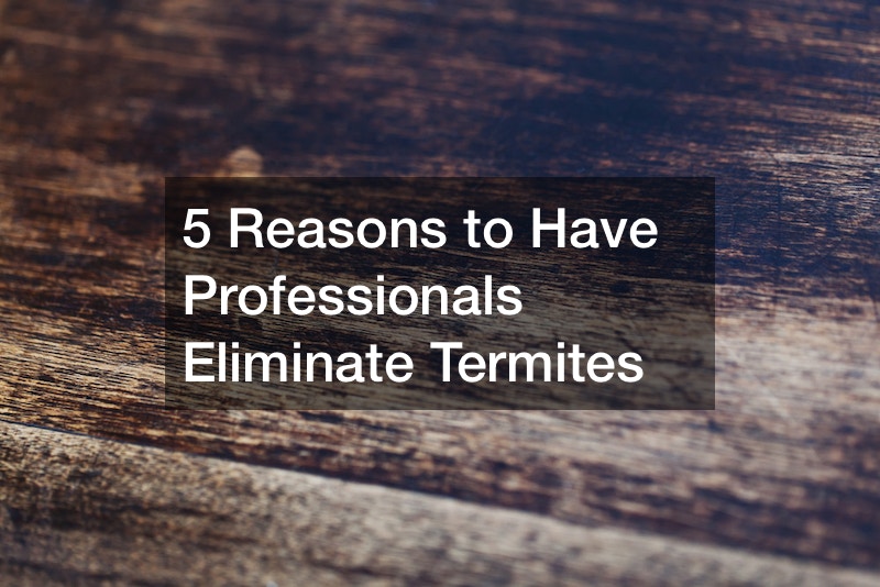 5 Reasons to Have Professionals Eliminate Termites