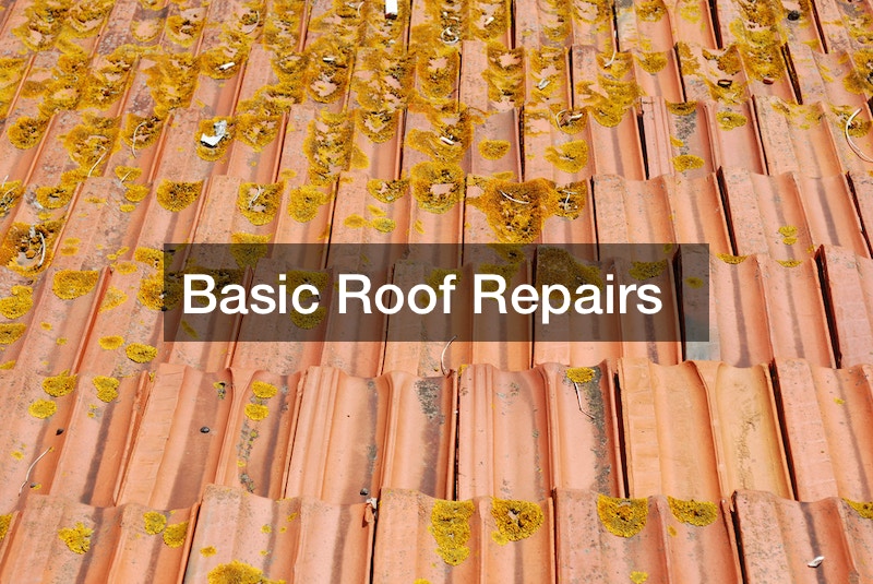 Basic Roof Repairs