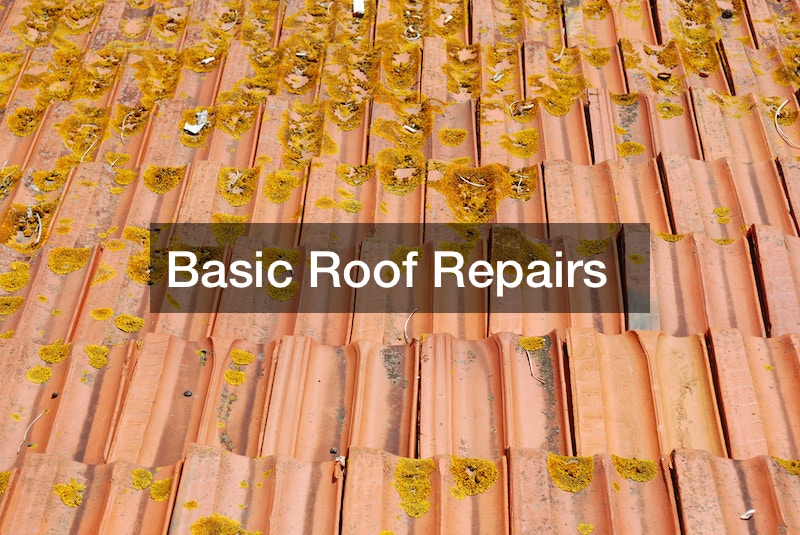 roof repairs