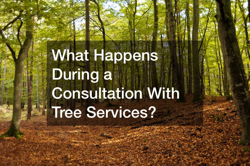 What Happens During a Consultation With Tree Services?