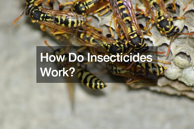 How Do Insecticides Work?