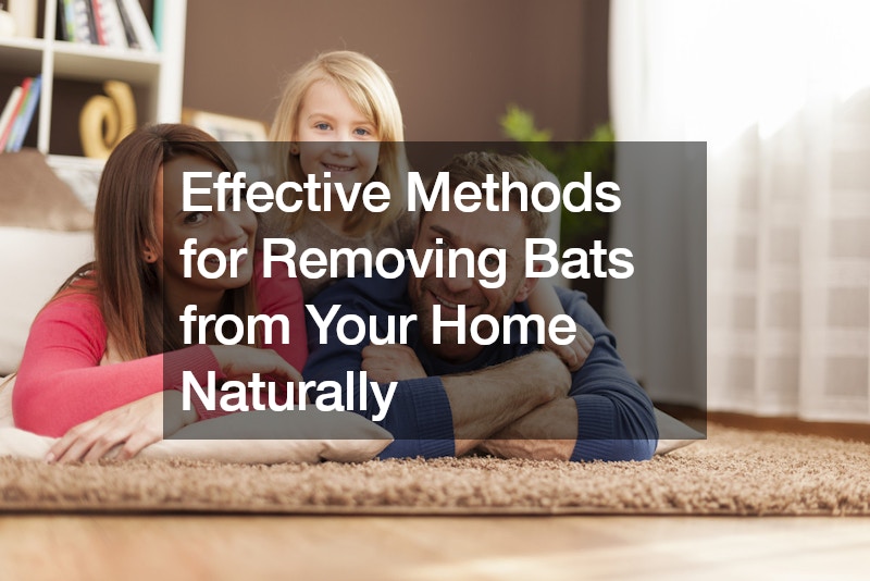 Effective Methods for Removing Bats from Your Home Naturally