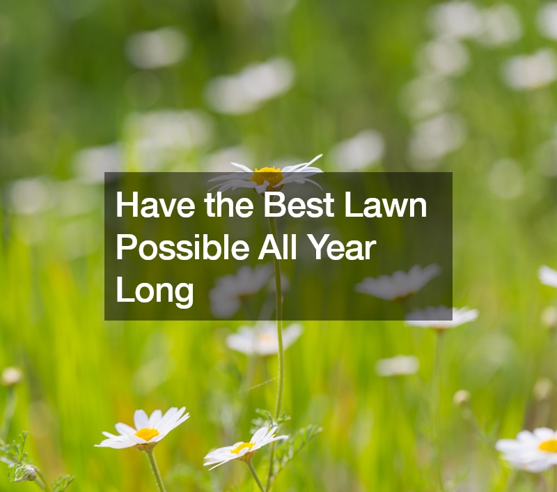 Have the Best Lawn Possible All Year Long