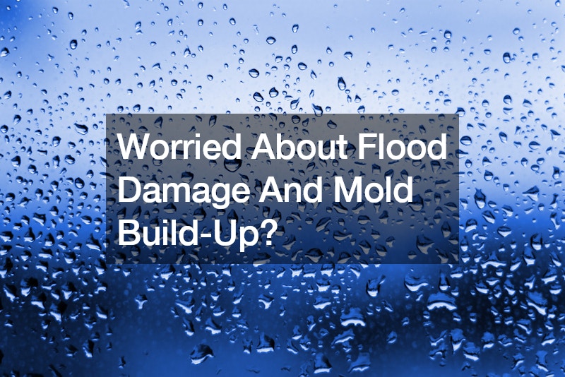 Worried About Flood Damage And Mold Build-Up?