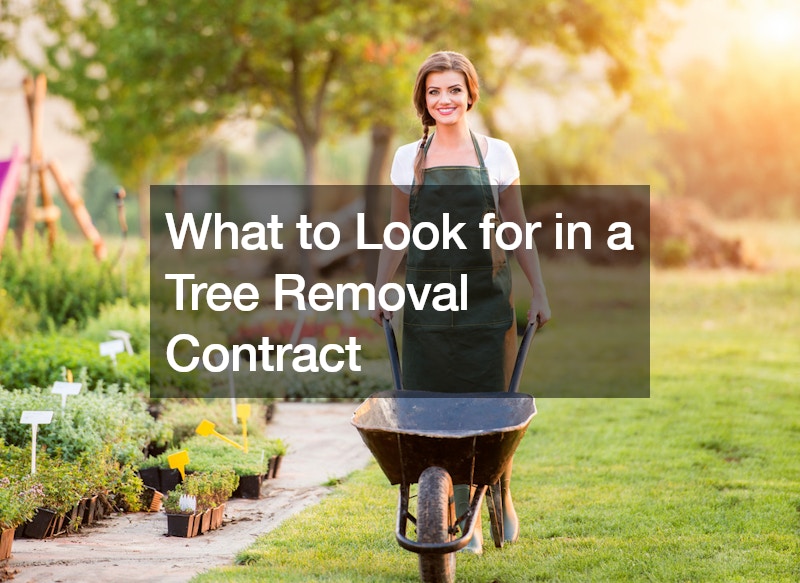 What to Look for in a Tree Removal Contract