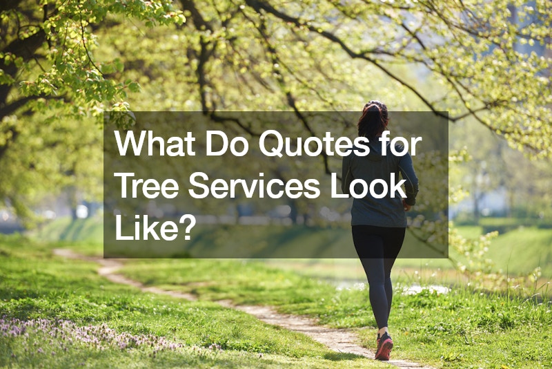 What Do Quotes for Tree Services Look Like?