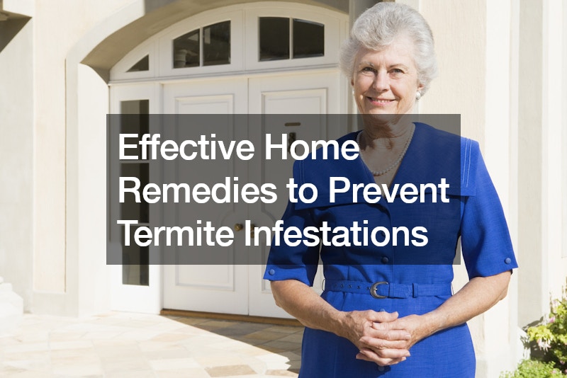 Effective Home Remedies to Prevent Termite Infestations