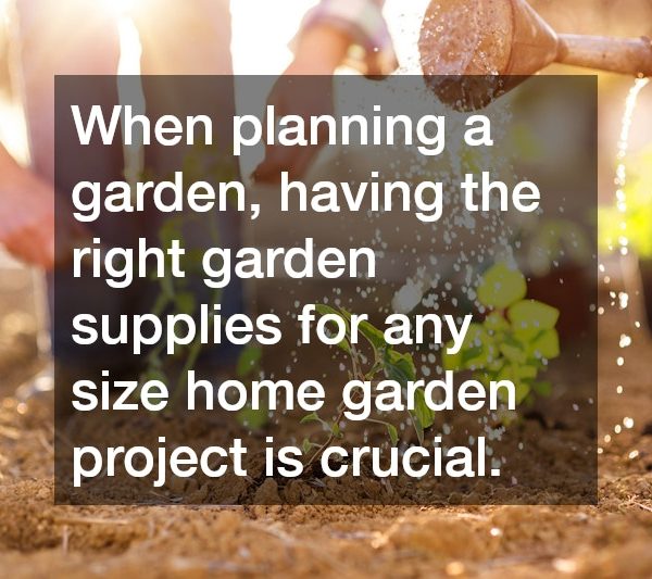 What You Should Know About Gardening
