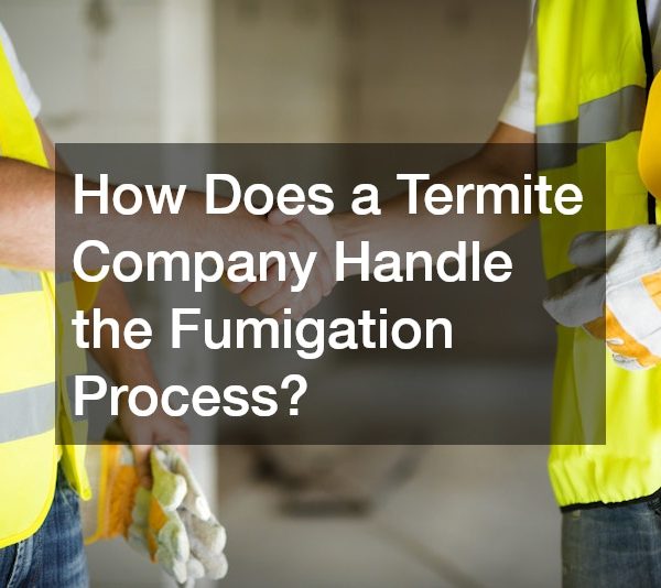 How Does a Termite Company Handle the Fumigation Process?