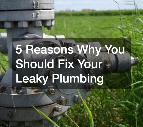 5 Reasons Why You Should Fix Your Leaky Plumbing