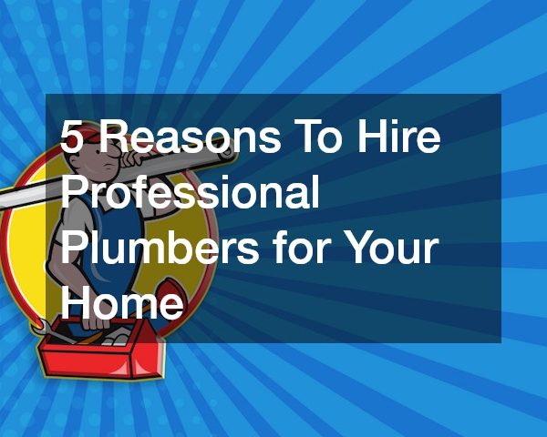 5 Reasons To Hire Professional Plumbers for Your Home