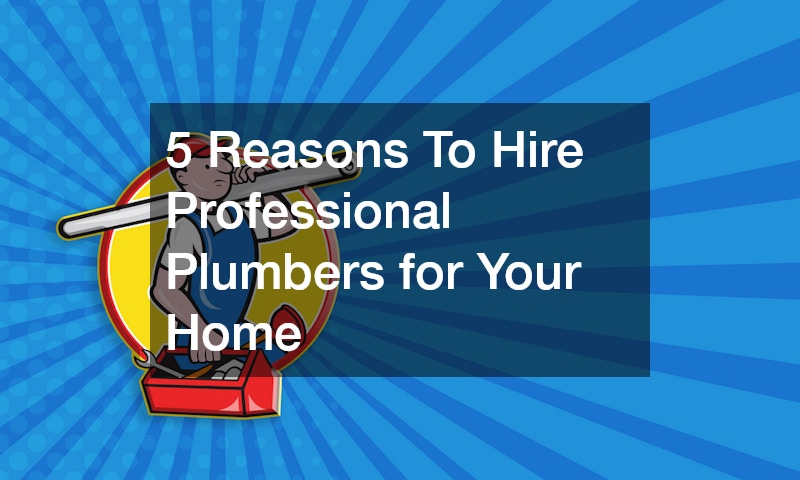 5 Reasons To Hire Professional Plumbers for Your Home