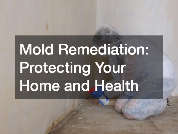 Mold Remediation Protecting Your Home and Health