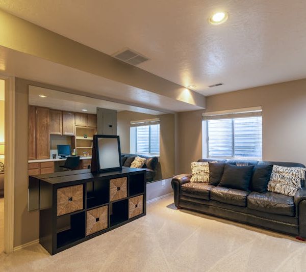 a basement living room